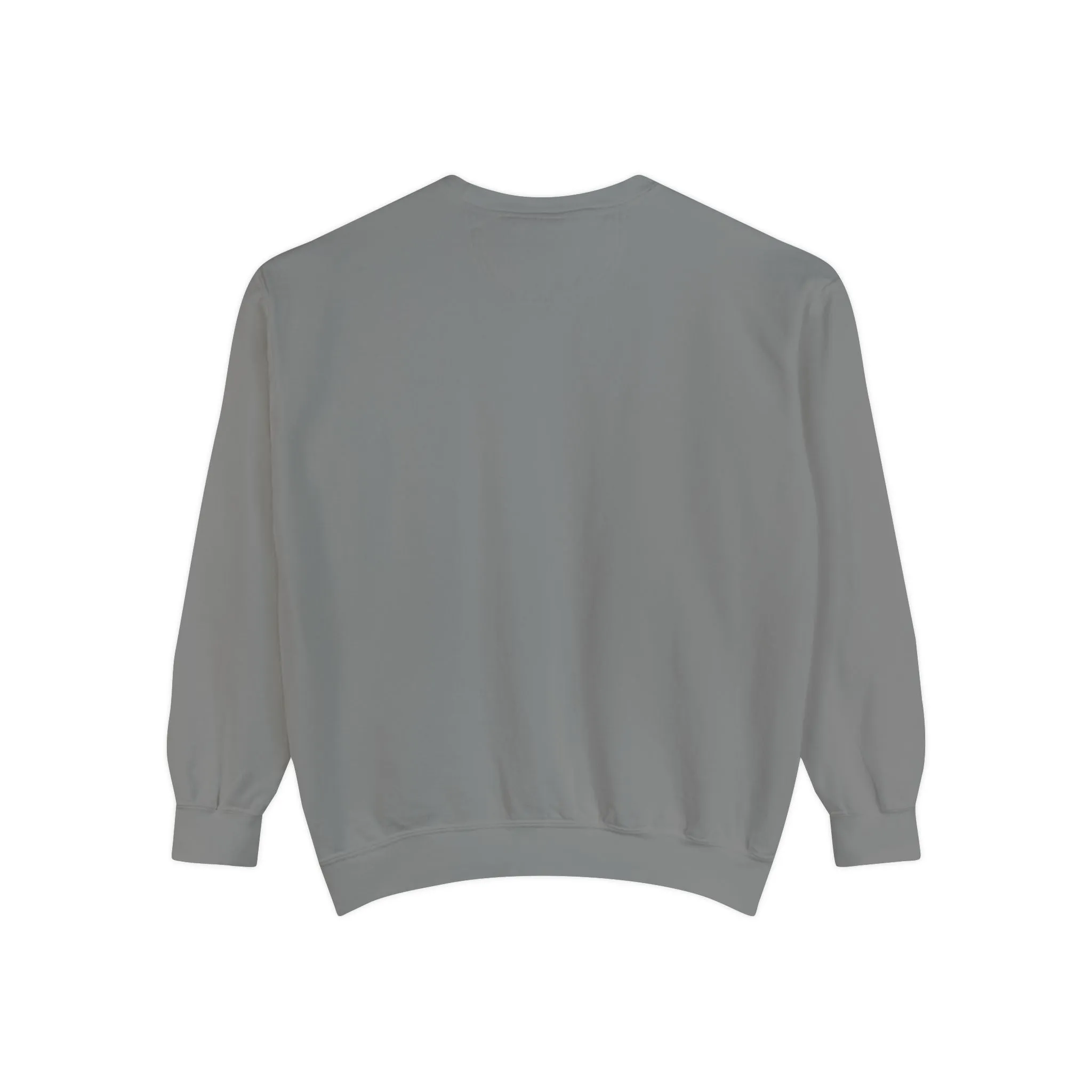 Books as Albums Sweatshirt by Spicy Merchworm Merch; Bookish Merch Gift ideas for Book Lovers and Book Club Gifts
