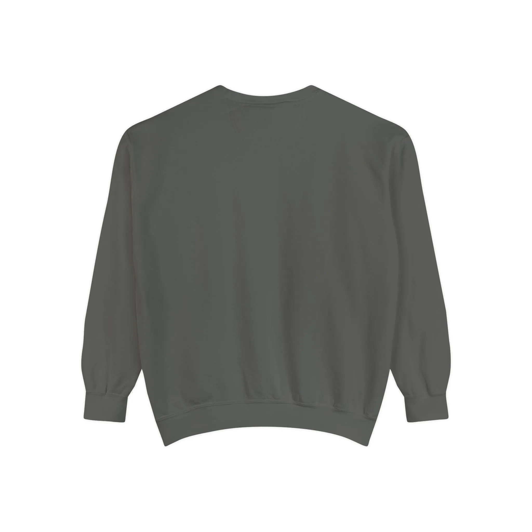 Books as Albums Sweatshirt by Spicy Merchworm Merch; Bookish Merch Gift ideas for Book Lovers and Book Club Gifts