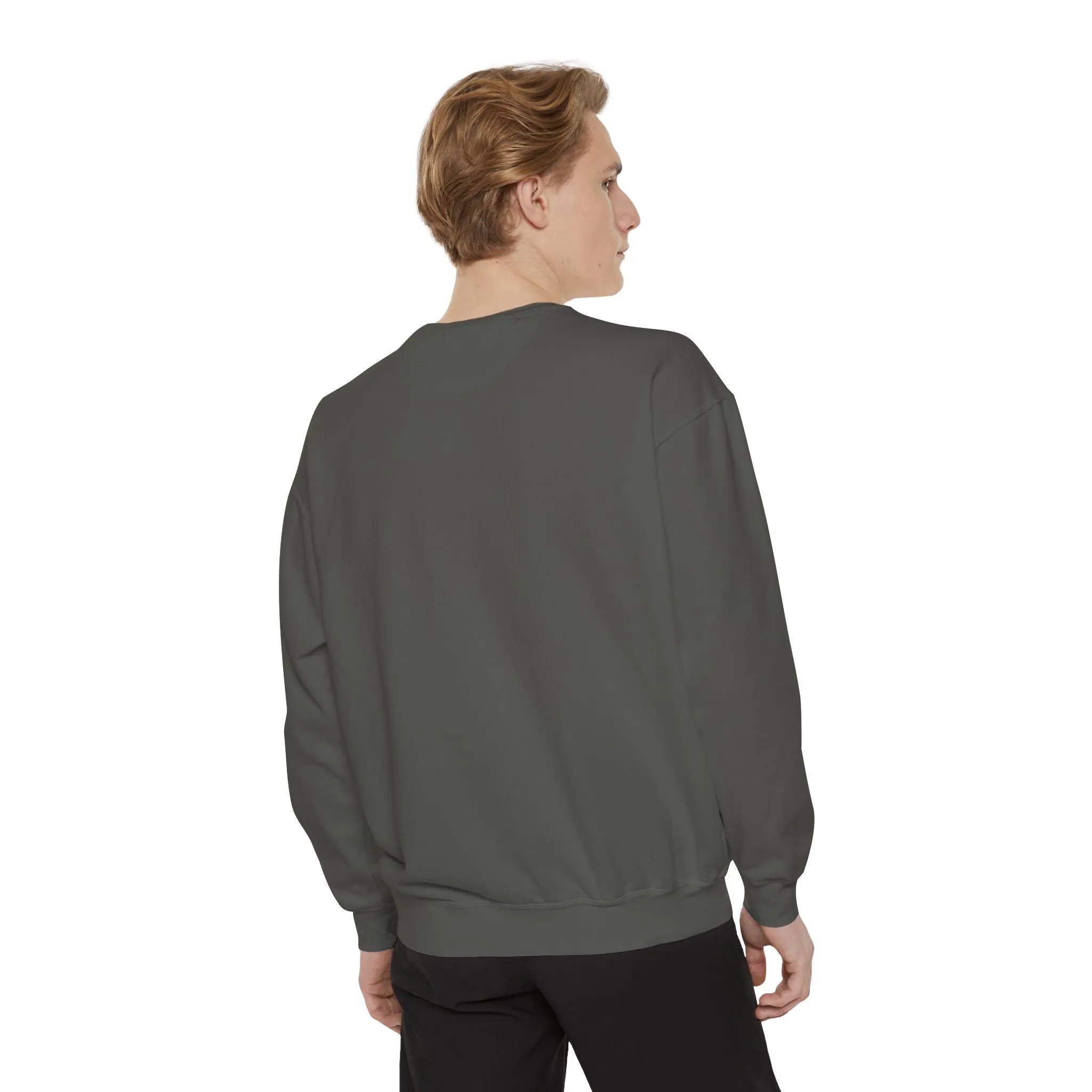Books as Albums Sweatshirt by Spicy Merchworm Merch; Bookish Merch Gift ideas for Book Lovers and Book Club Gifts