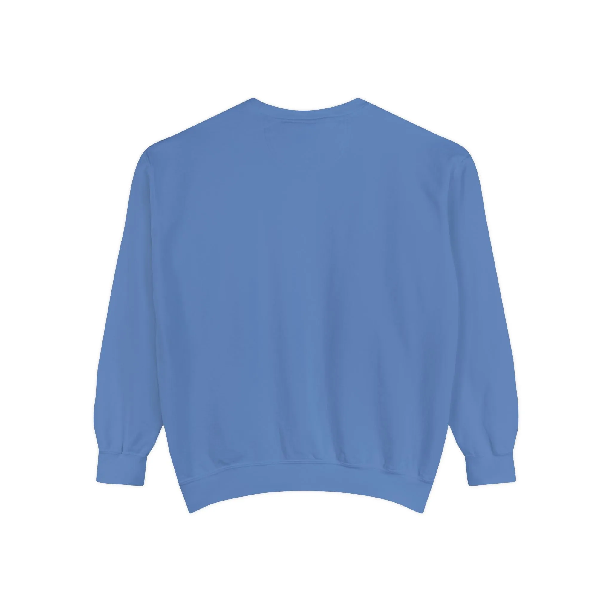 Books as Albums Sweatshirt by Spicy Merchworm Merch; Bookish Merch Gift ideas for Book Lovers and Book Club Gifts