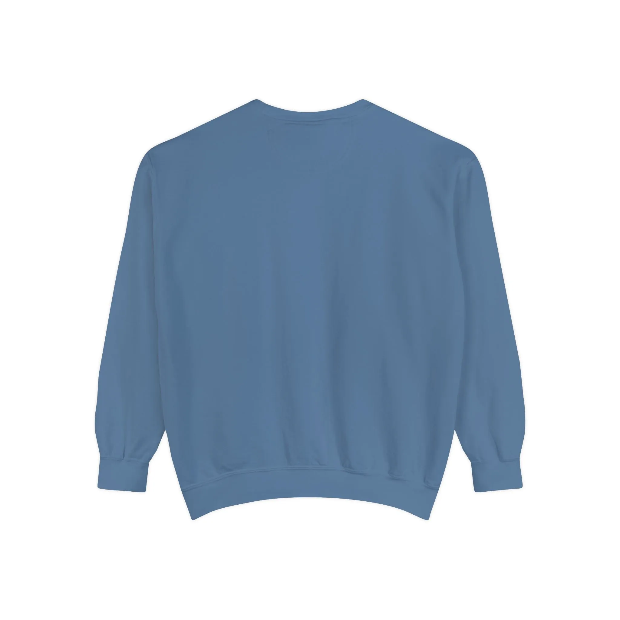 Books as Albums Sweatshirt by Spicy Merchworm Merch; Bookish Merch Gift ideas for Book Lovers and Book Club Gifts