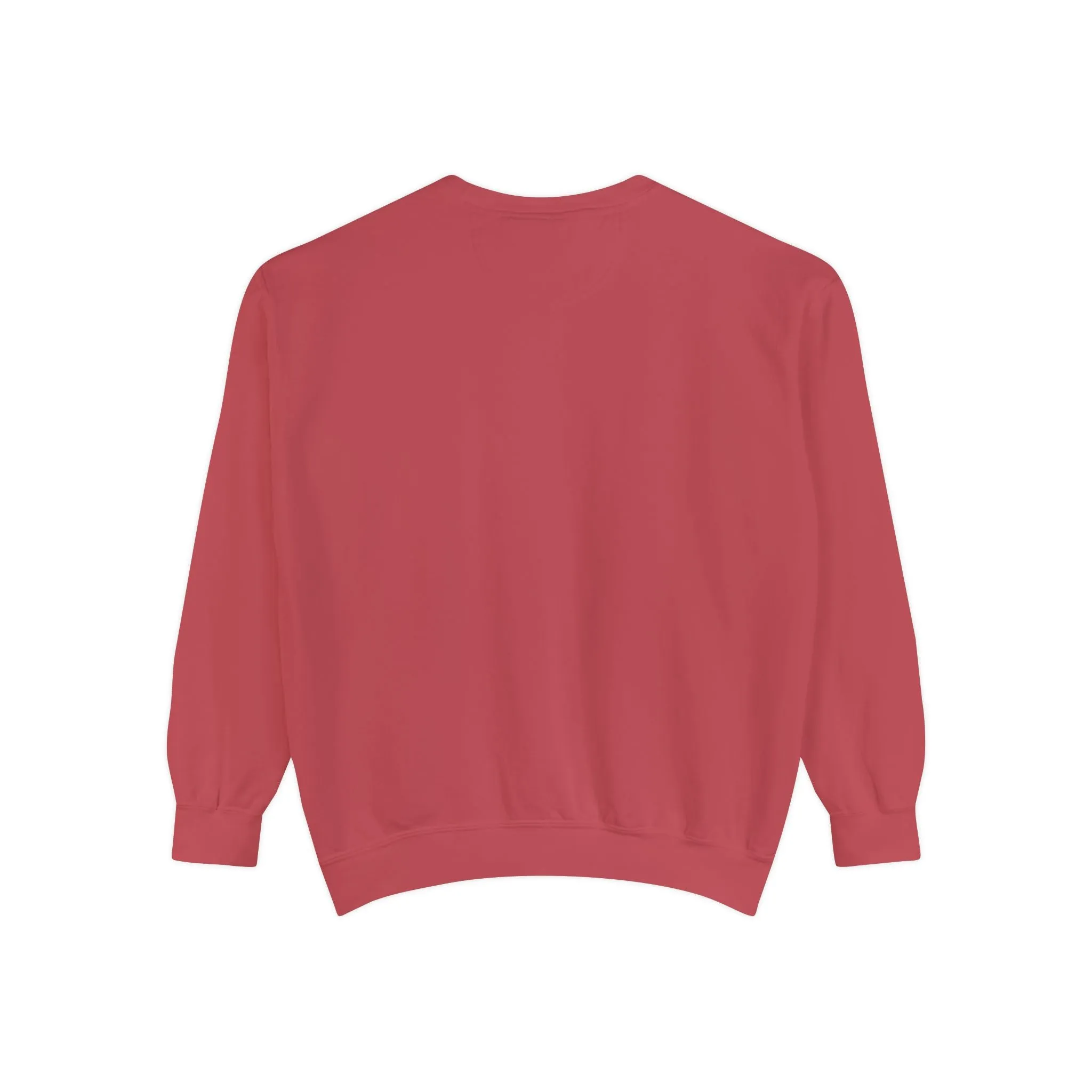 Books as Albums Sweatshirt by Spicy Merchworm Merch; Bookish Merch Gift ideas for Book Lovers and Book Club Gifts