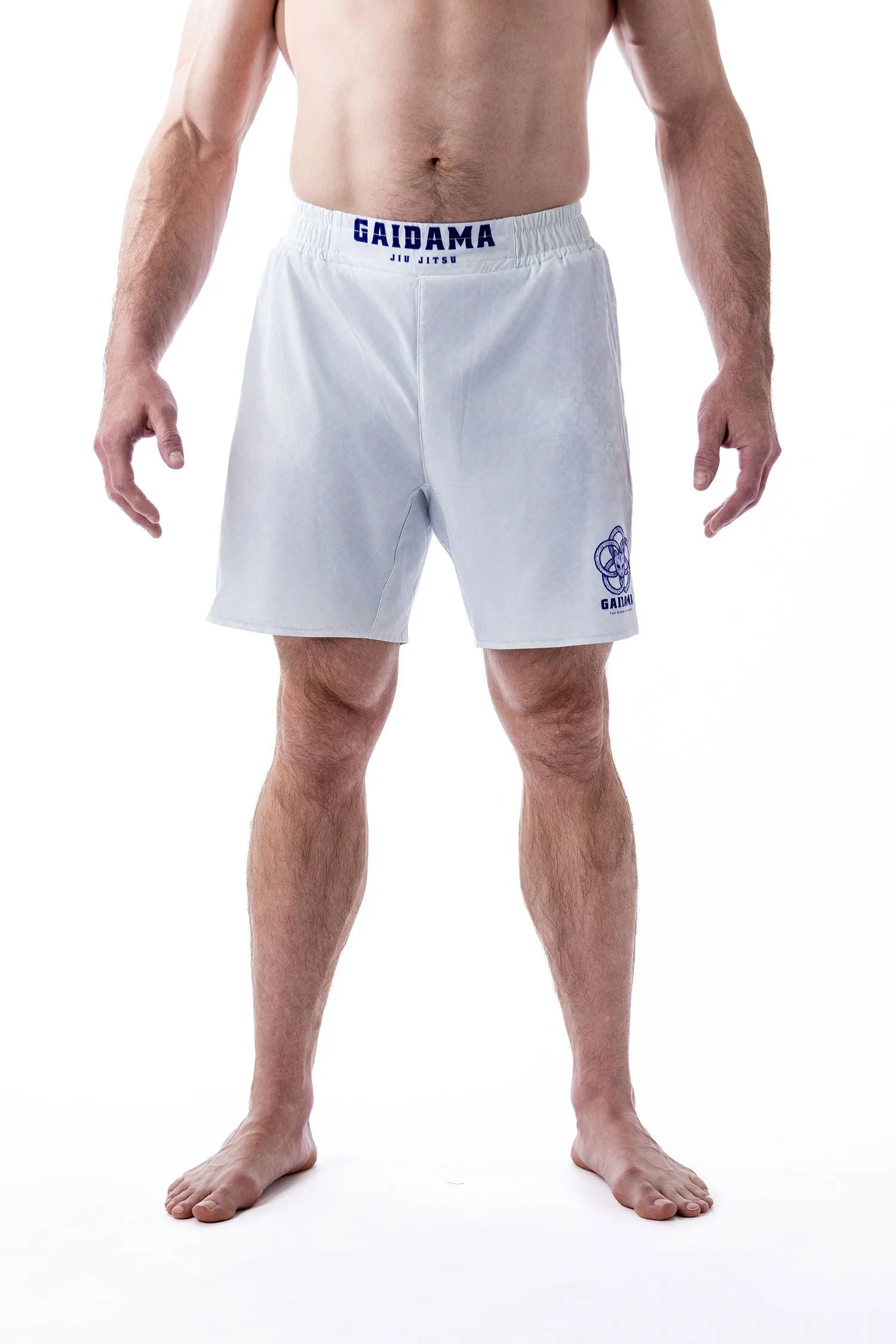 Men's Miyamoto Musashi Art Wear Jiu Jitsu Board Shorts - 2023 Edition
